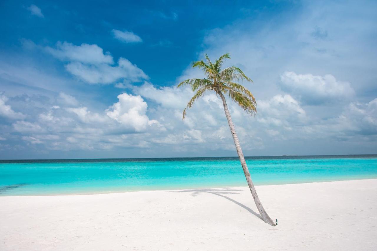 Brickwood Rasdhoo- Beach Front Extérieur photo